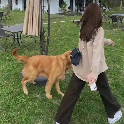 我的篡位替身